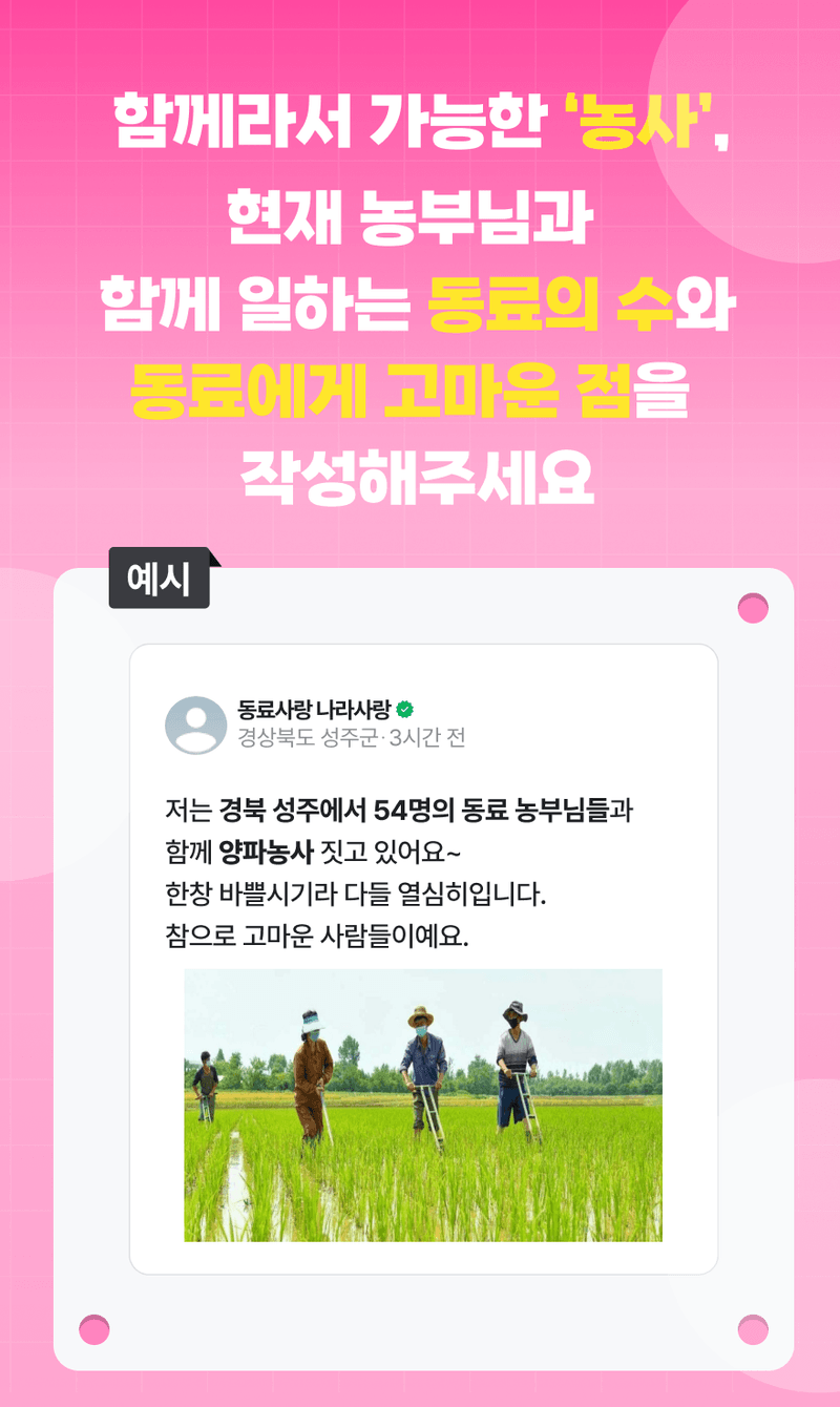 함께 일하는 동료는 몇명인가요? 소개