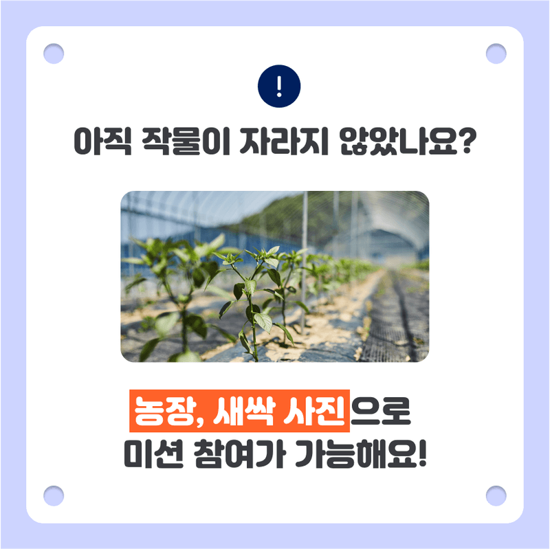 오늘 어떤 농작업하셨나요? 소개