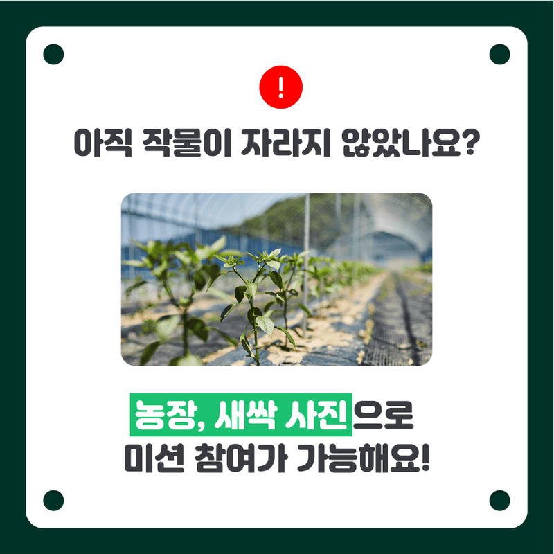 12월 내 작물 자랑하기 소개