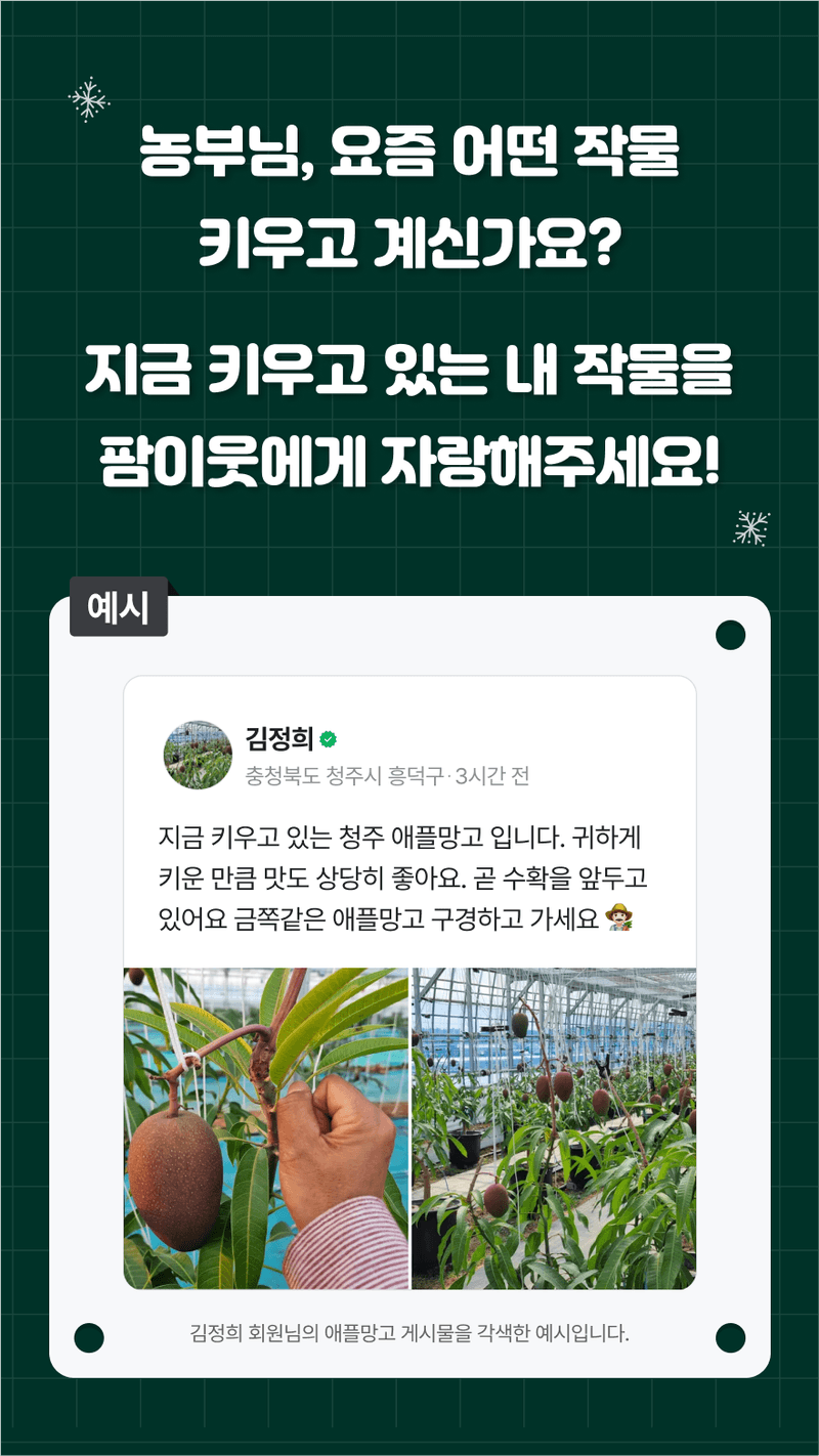 12월 내 작물 자랑하기 소개