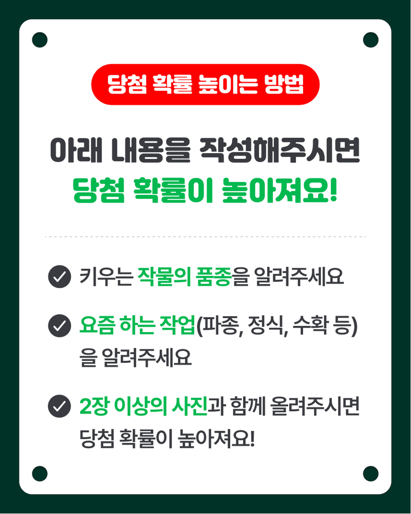 12월 내 작물 자랑하기 소개