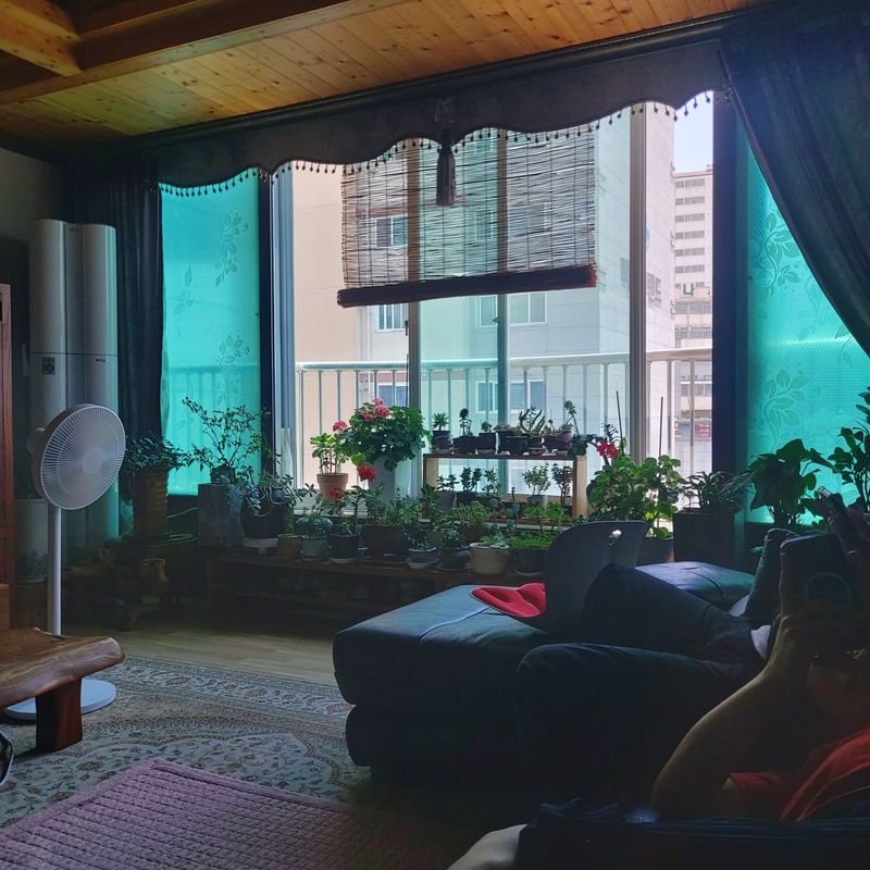 권세민님의 장터 구매 후기 썸네일