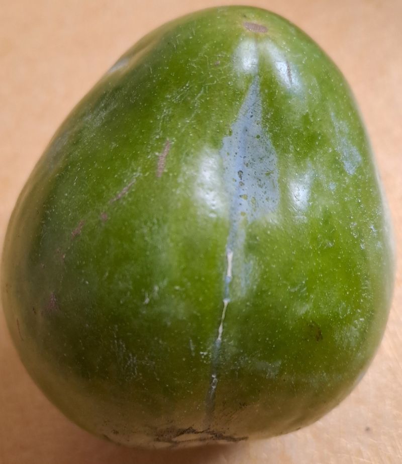 김대원님의 장터 구매 후기 썸네일