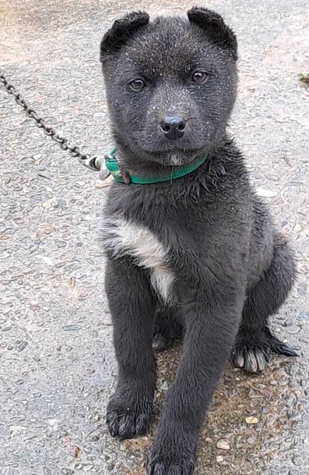 김대원님의 장터 구매 후기 썸네일