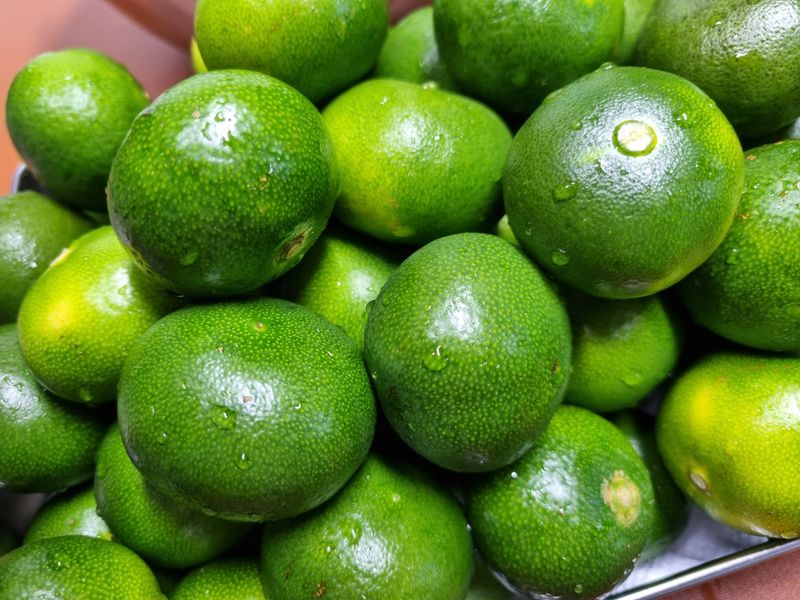 김경연님의 장터 구매 후기 썸네일