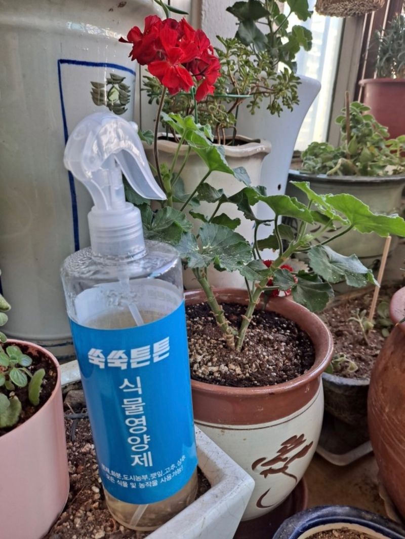 박춘선님의 장터 구매 후기 썸네일