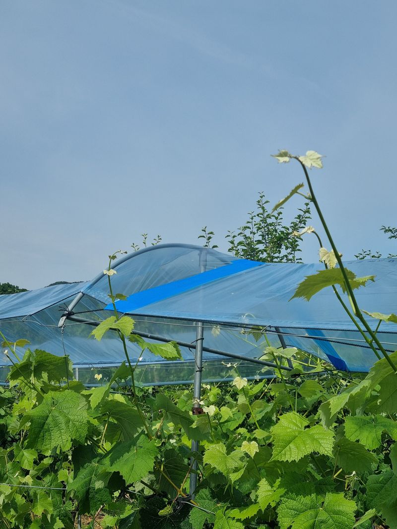 민원기님의 장터 구매 후기 썸네일