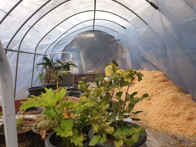 머치자연인님의 장터 구매 후기 썸네일