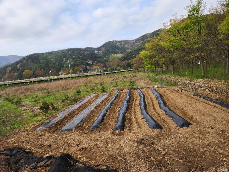 동산에살으리.님의 장터 구매 후기 썸네일