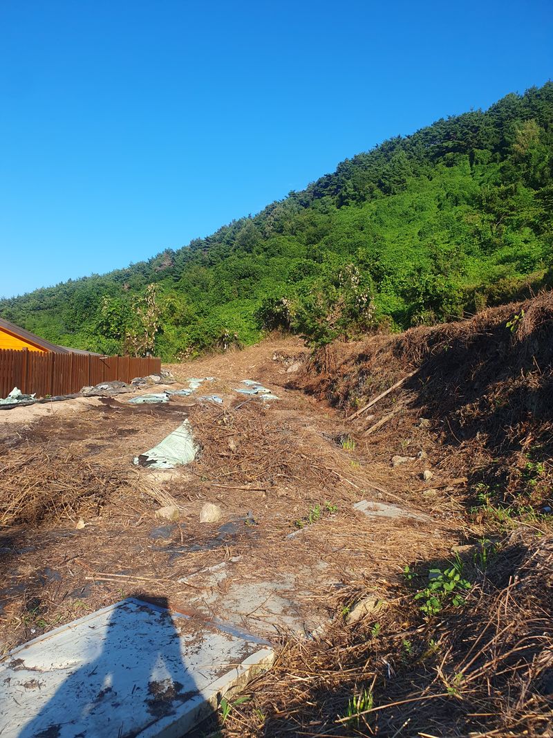 시골농부뜨돌이님의 장터 구매 후기 썸네일