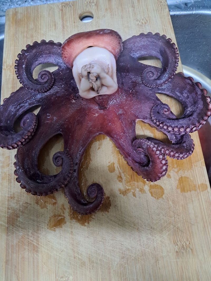 최명주(덕천)님의 장터 구매 후기 썸네일