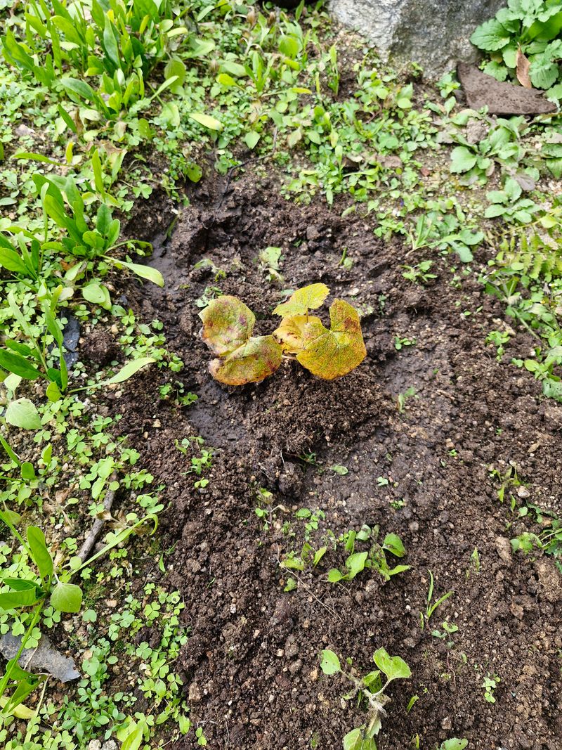 !정의규님의 장터 구매 후기 썸네일