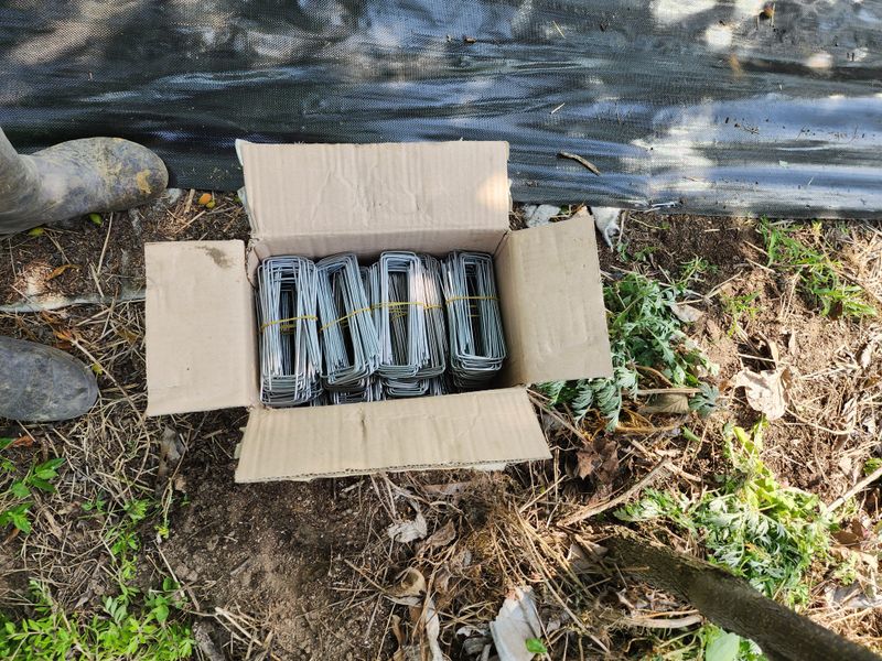 윤님님의 장터 구매 후기 썸네일