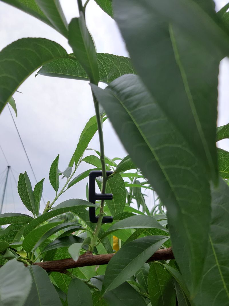 구인회님의 장터 구매 후기 썸네일