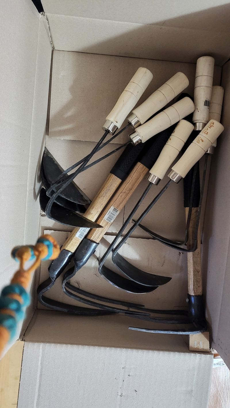 조미숙님의 장터 구매 후기 썸네일