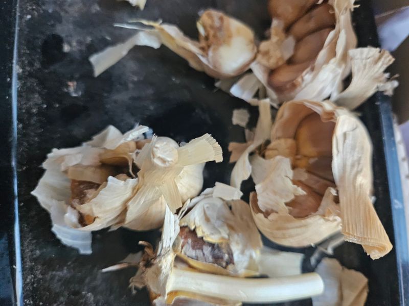 유성재님의 장터 구매 후기 썸네일