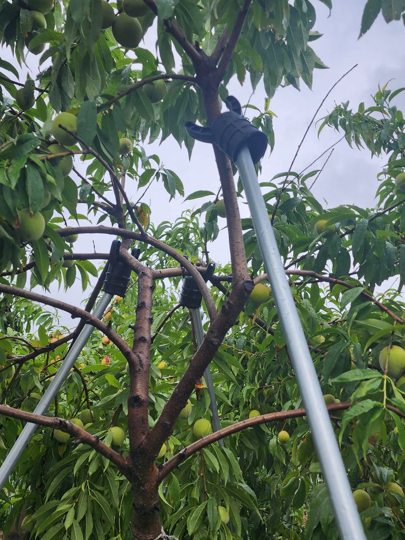 윤님님의 장터 구매 후기 썸네일