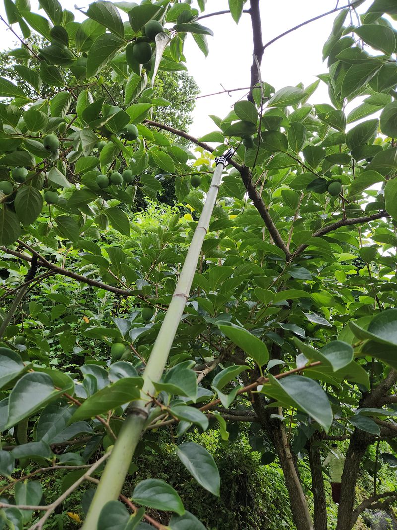 농군님의 장터 구매 후기 썸네일