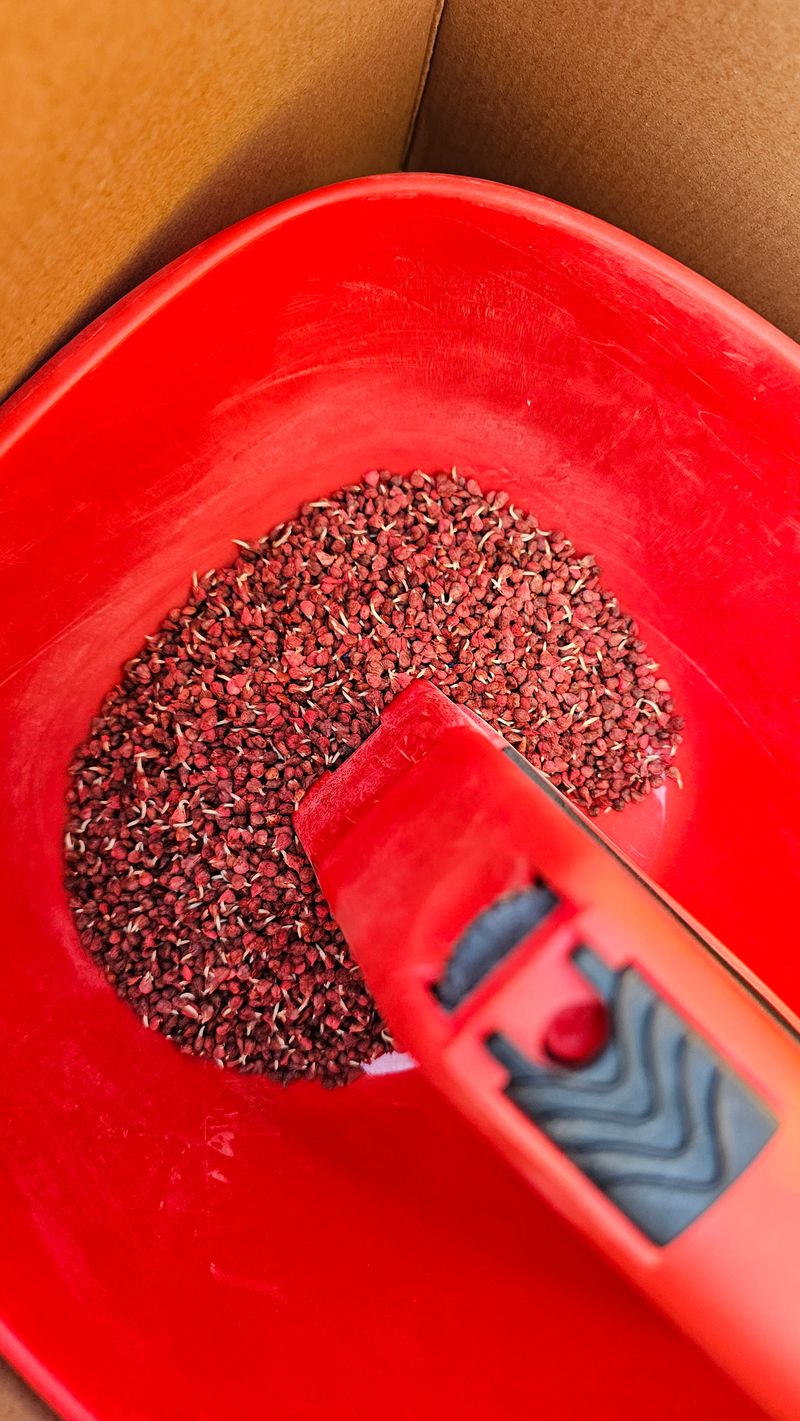 양동식님의 장터 구매 후기 썸네일