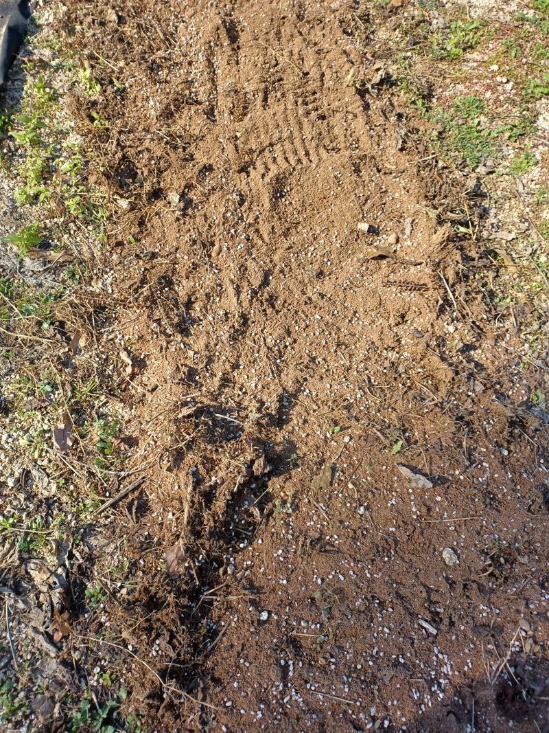 나빌레라님의 장터 구매 후기 썸네일