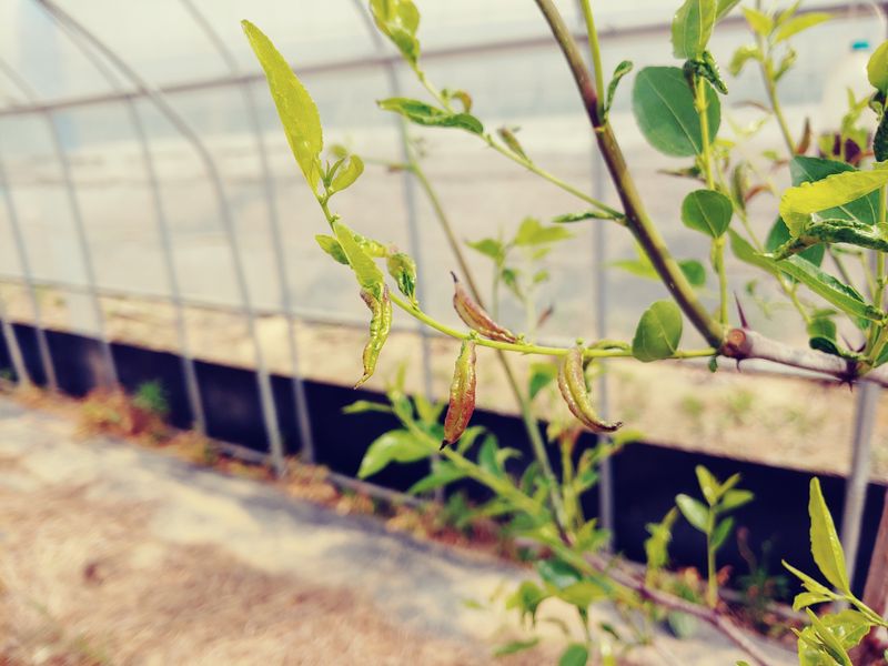 이응혁님의 장터 구매 후기 썸네일