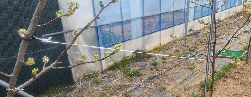 내리(한중선)님의 장터 구매 후기 썸네일