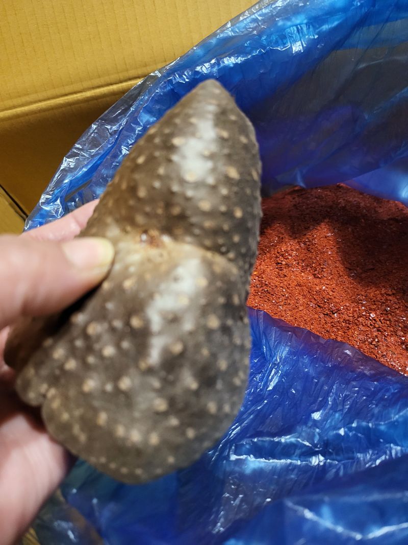 늘푸른농장님의 장터 구매 후기 썸네일