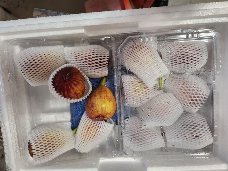 우농부님의 장터 구매 후기 썸네일