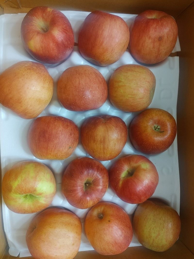 김미옥님의 장터 구매 후기 썸네일