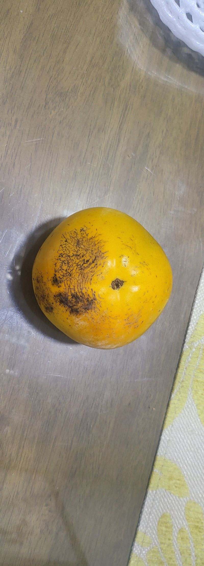 이재진님의 장터 구매 후기 썸네일