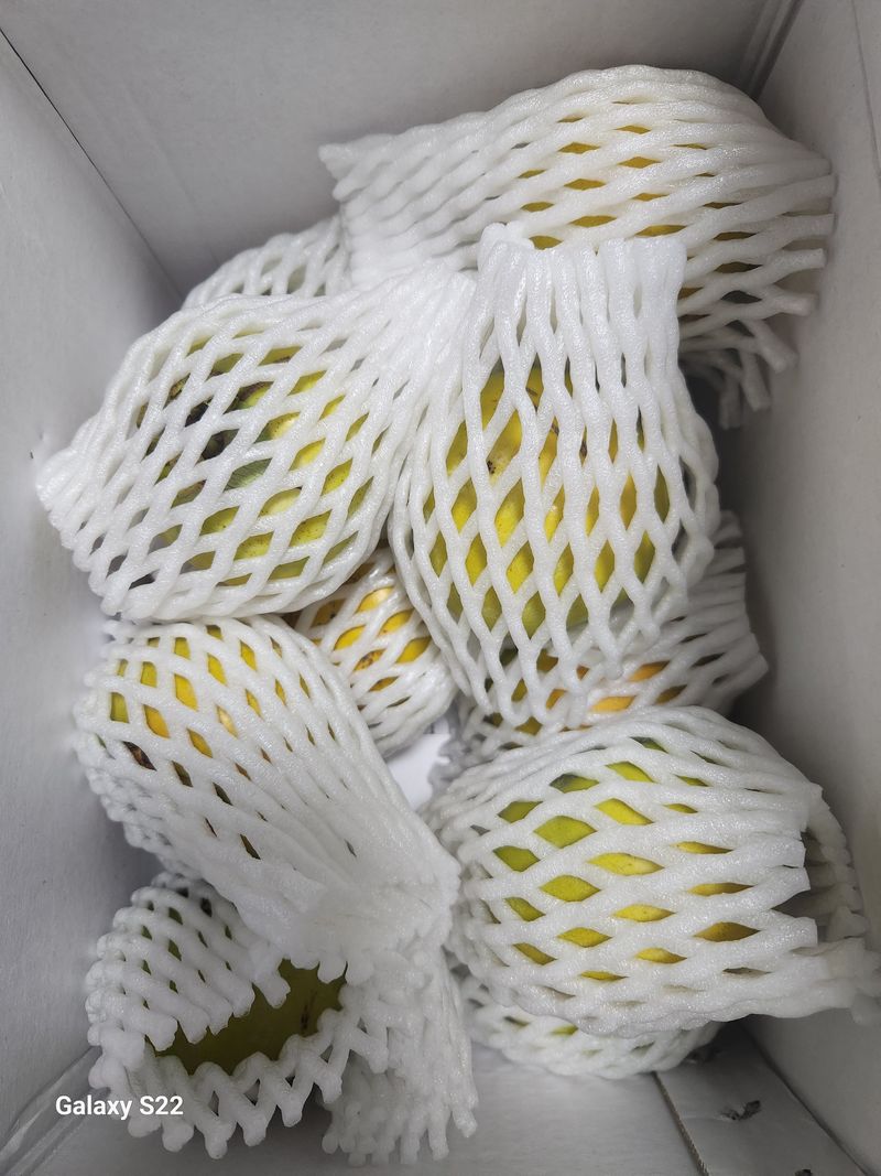 아우농님의 장터 구매 후기 썸네일