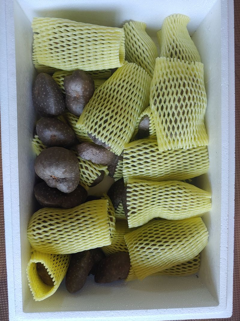 이상선님의 장터 구매 후기 썸네일