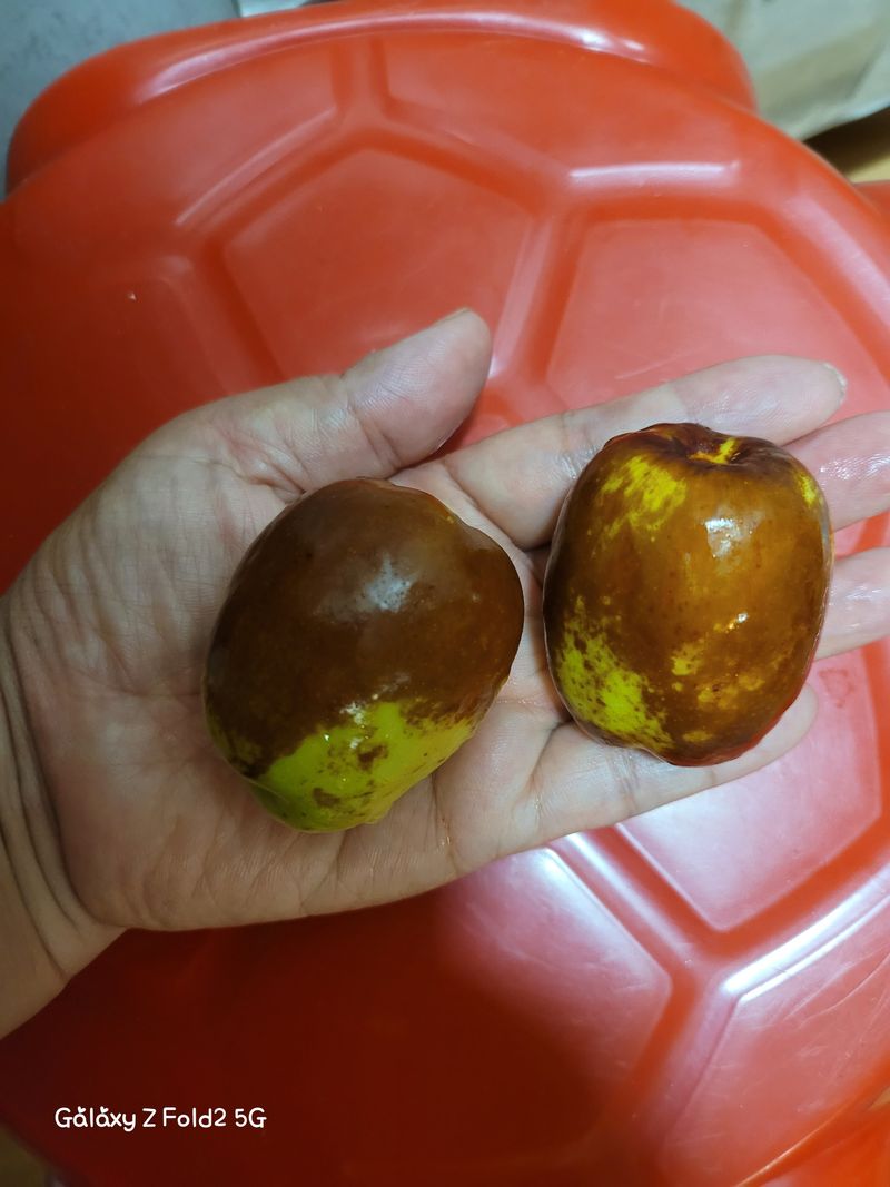 신은미님의 장터 구매 후기 썸네일