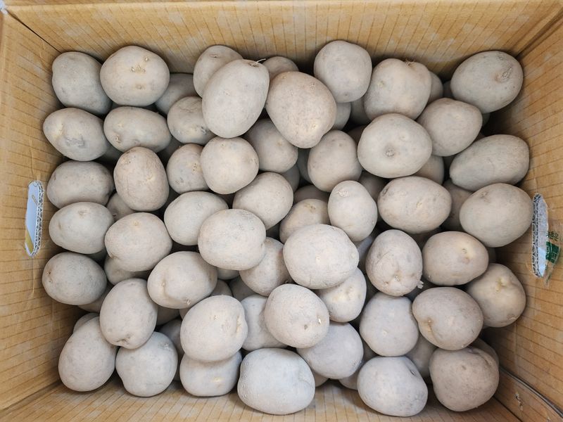 강미화11월출석왕♡님의 장터 구매 후기 썸네일