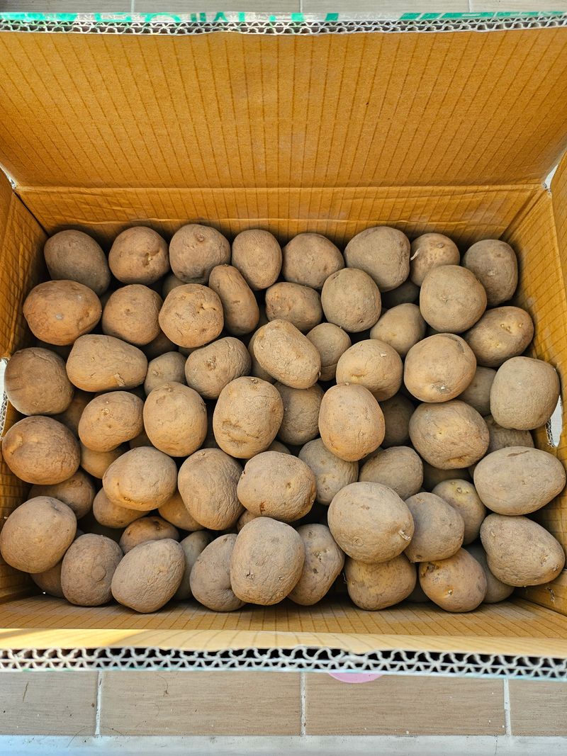 리얼도심님의 장터 구매 후기 썸네일