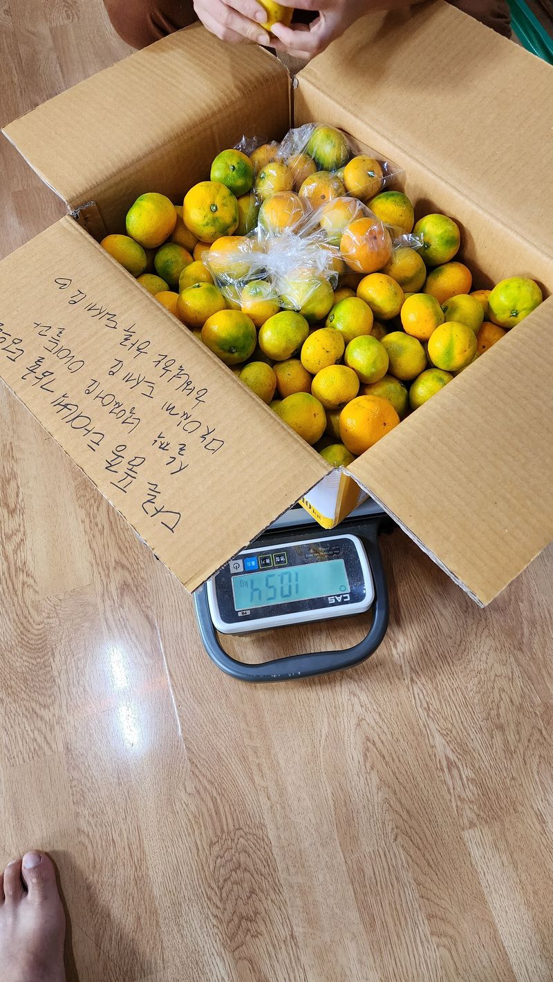 고추 조의현님의 장터 구매 후기 썸네일