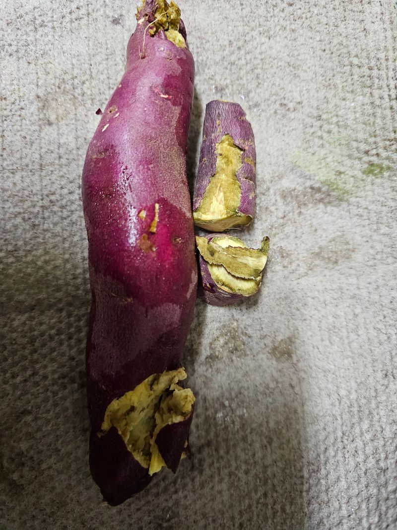 서후님의 장터 구매 후기 썸네일