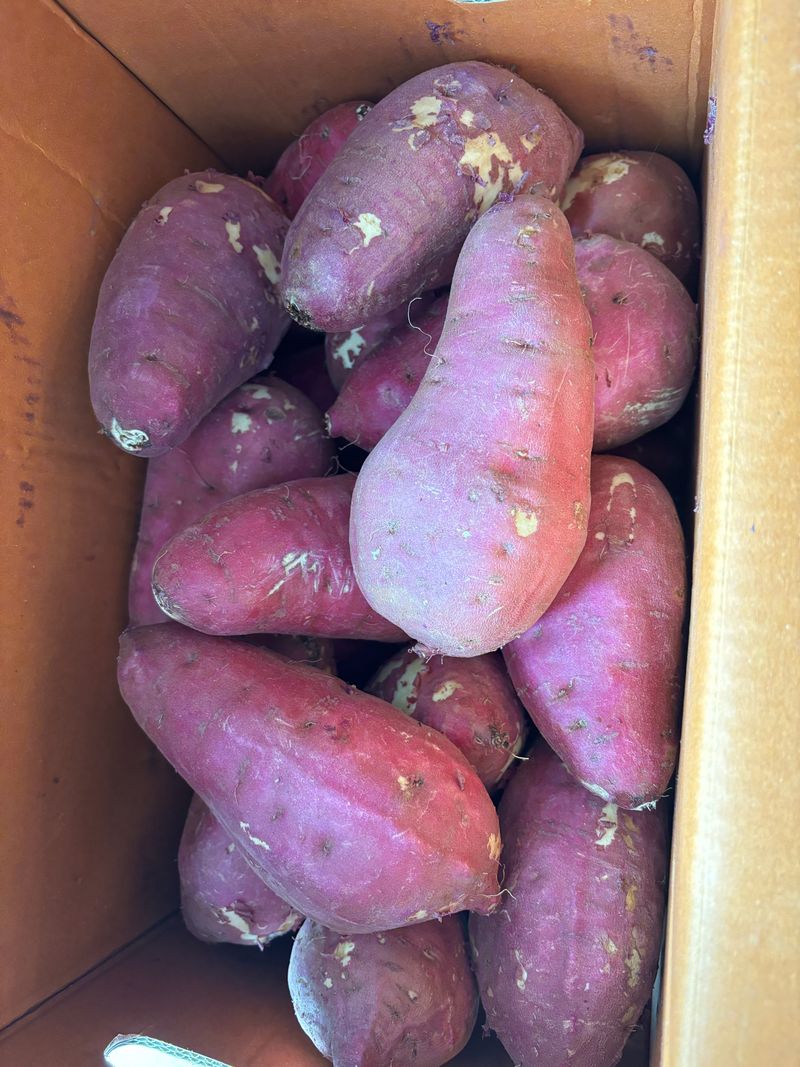 이미숙님의 장터 구매 후기 썸네일