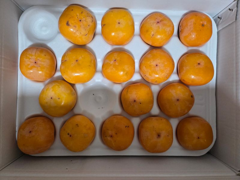 이현순님의 장터 구매 후기 썸네일