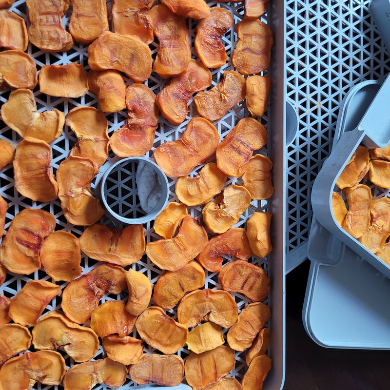 최명희님의 장터 구매 후기 썸네일