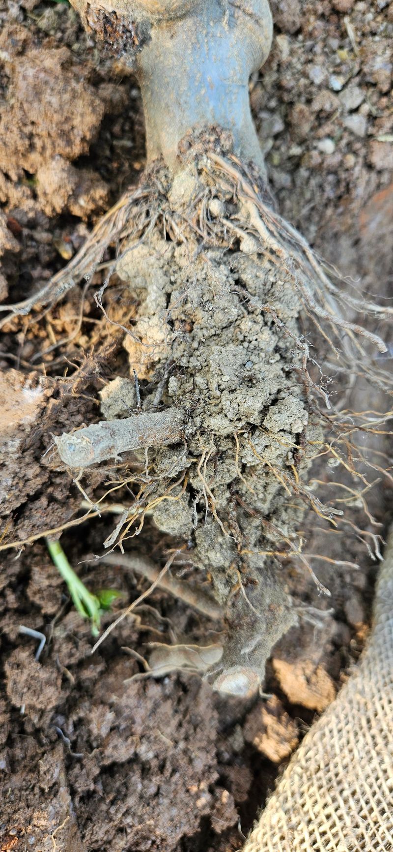 김창호님의 장터 구매 후기 썸네일