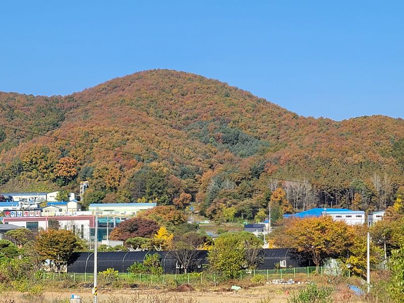 장기준님의 장터 구매 후기 썸네일