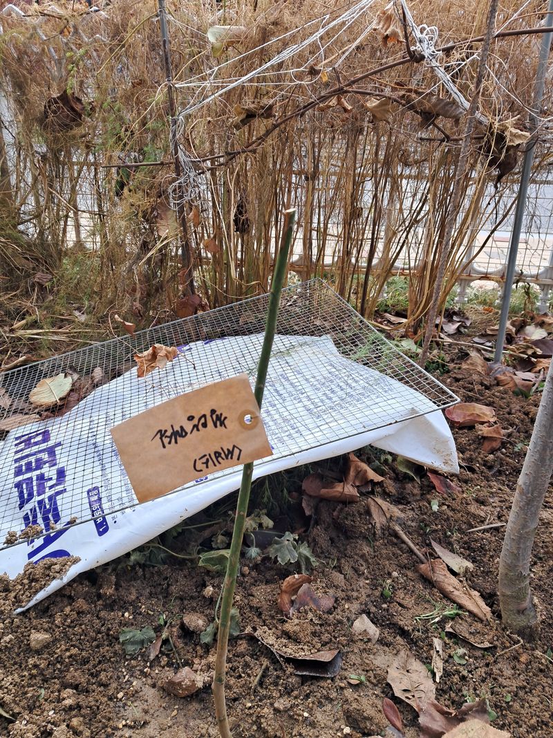 서상기 은퇴농장님의 장터 구매 후기 썸네일