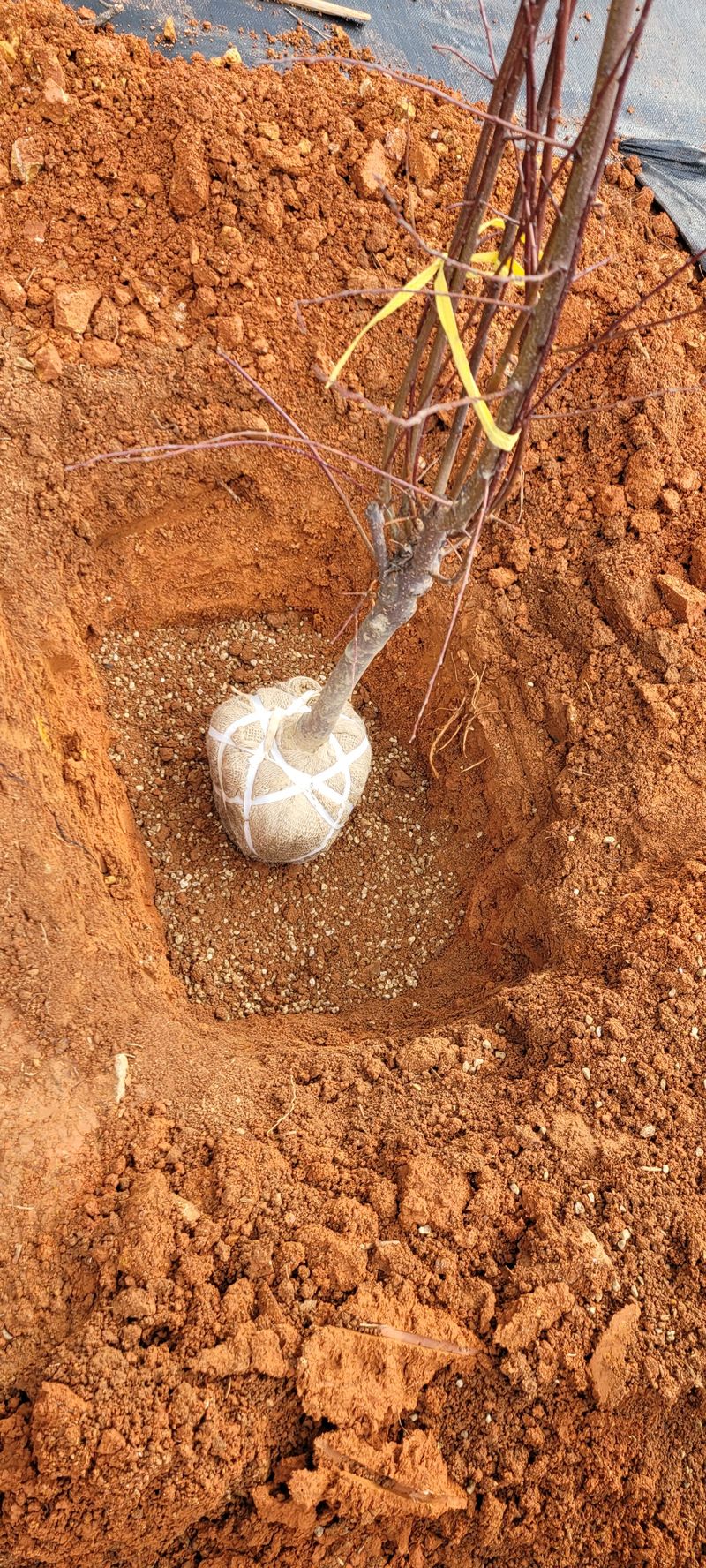 여수초보님의 장터 구매 후기 썸네일