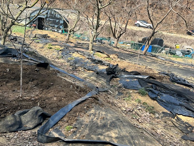 멋진시골할배님의 장터 구매 후기 썸네일