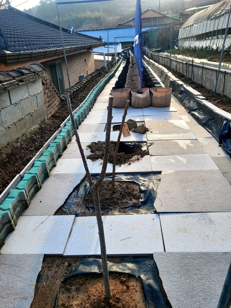 2Moon님의 장터 구매 후기 썸네일