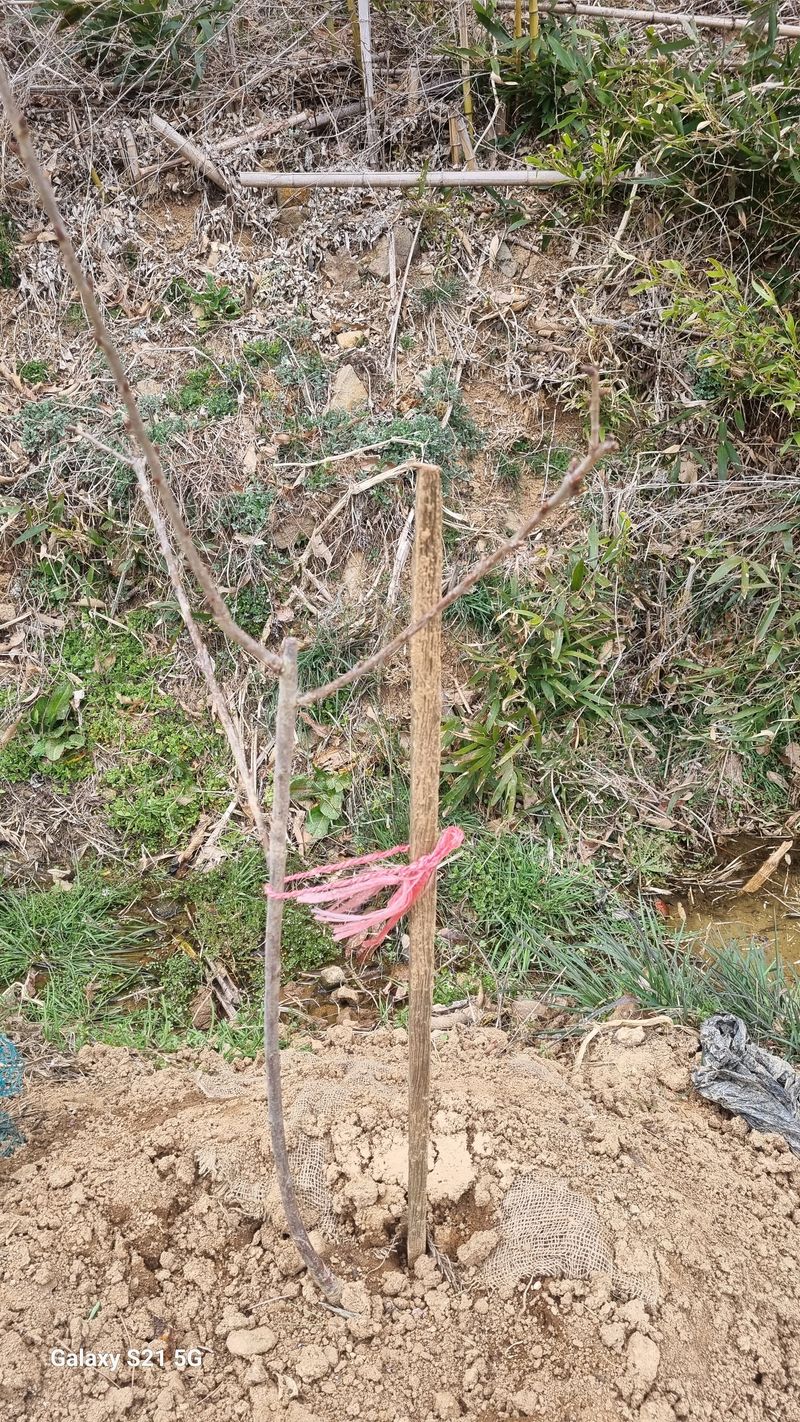 함영규님의 장터 구매 후기 썸네일