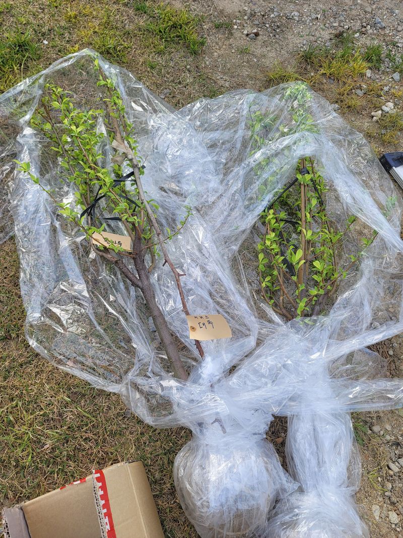 쟁기님의 장터 구매 후기 썸네일