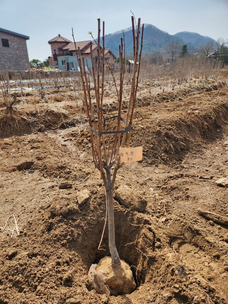 양명학 라온노마드님의 장터 구매 후기 썸네일