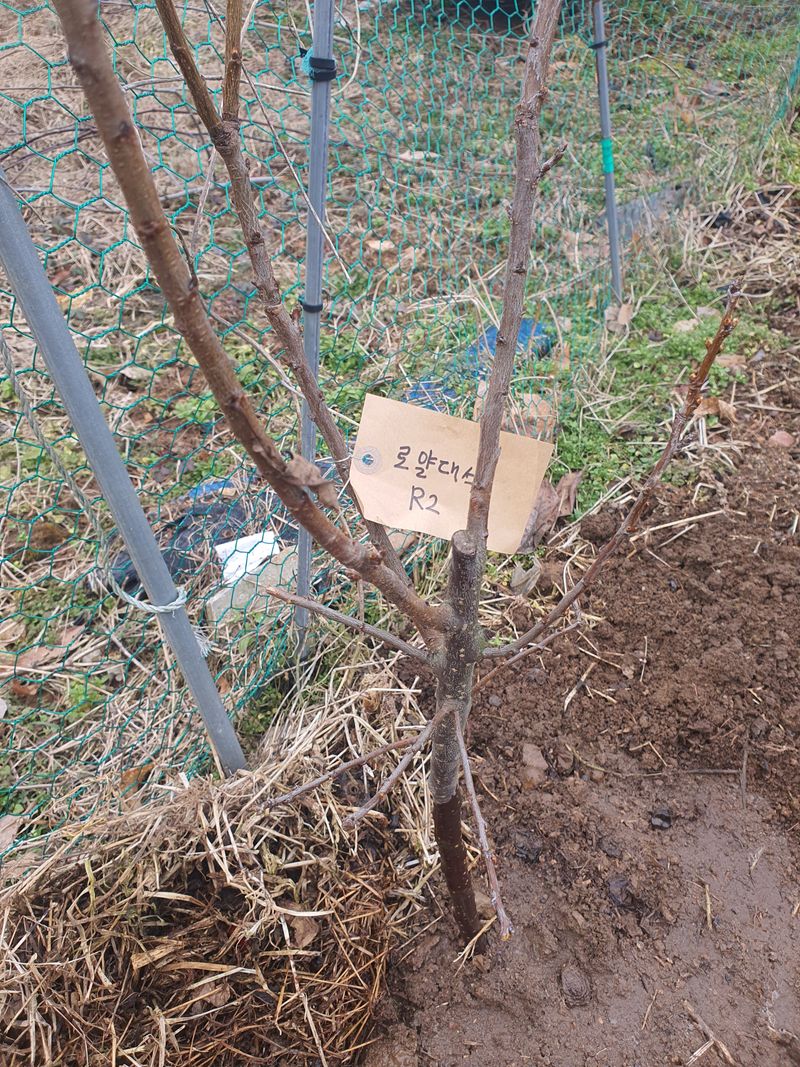 엘림농장님의 장터 구매 후기 썸네일